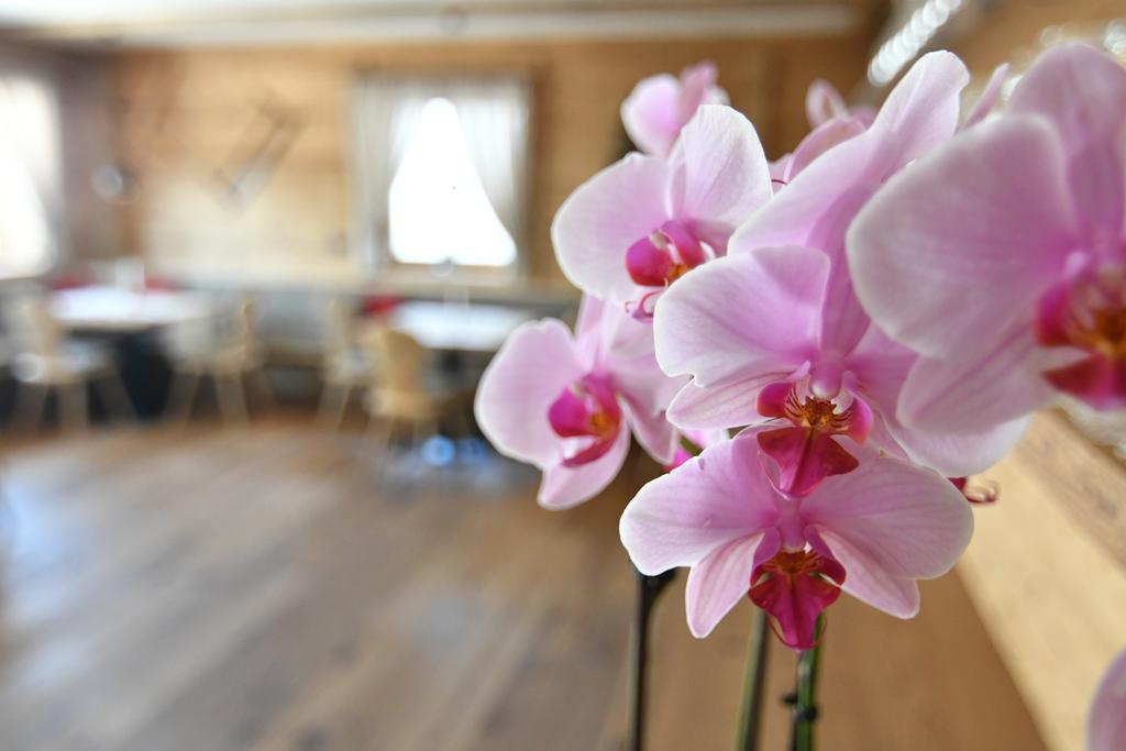 Hotel Kristall Маранца Екстериор снимка
